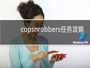 copsnrobbers任务攻略