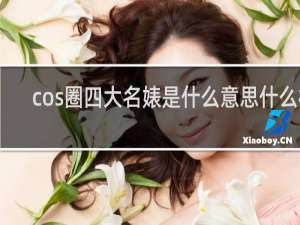 cos圈四大名婊是什么意思什么梗