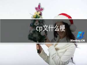 cp文什么梗