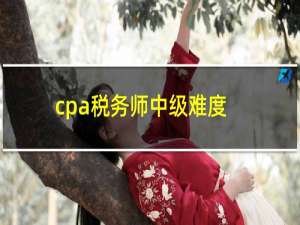 cpa税务师中级难度