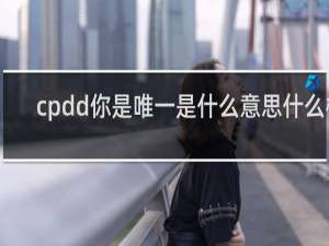 cpdd你是唯一是什么意思什么梗