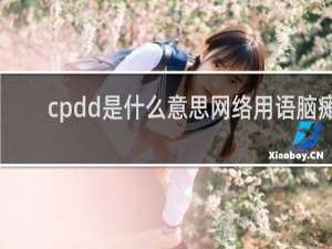 cpdd是什么意思网络用语脑瘫