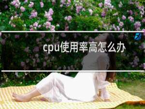 cpu使用率高怎么办是核心少吗（cpu使用率高怎么办）
