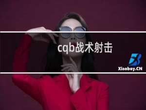 cqb战术射击