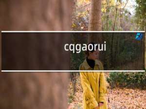 cqgaorui.com怎么空间被暂停了