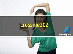 crossme 2.1.06 攻略