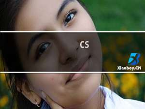 cs.seo-bl.com 网站打开速度慢