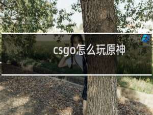 csgo怎么玩原神