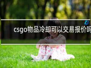 csgo物品冷却可以交易报价吗