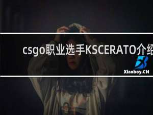 csgo职业选手KSCERATO介绍_黑豹战队小冷神KSCERATO个人资料_鲸吼百科