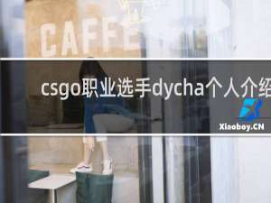 csgo职业选手dycha个人介绍_ENCE战队dycha资料_鲸吼百科