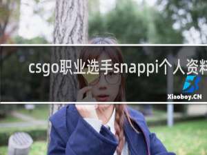 csgo职业选手snappi个人资料_ENCE战队snappi_鲸吼百科