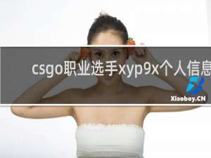 csgo职业选手xyp9x个人信息_A队九爷xyp9x介绍_鲸吼百科