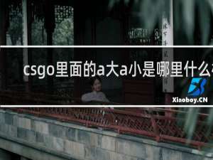 csgo里面的a大a小是哪里什么梗