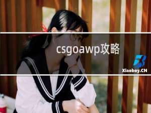 csgoawp攻略