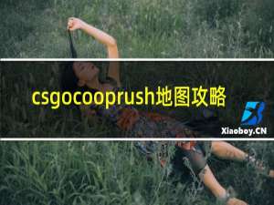 csgocooprush地图攻略