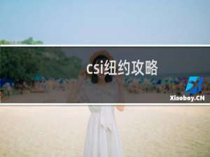 csi纽约攻略