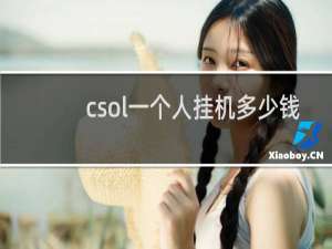 csol一个人挂机多少钱