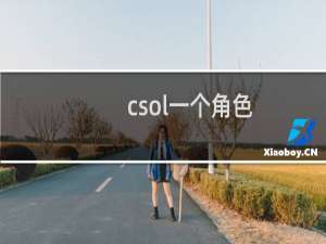 csol一个角色