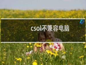 csol不兼容电脑