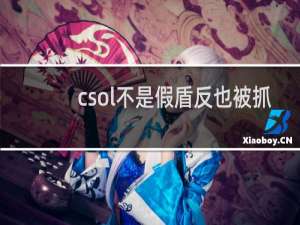 csol不是假盾反也被抓