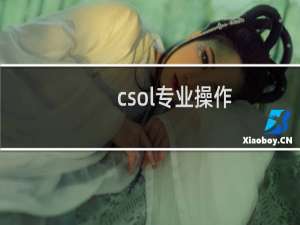 csol专业操作