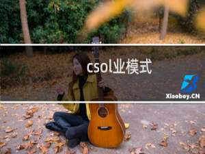 csol业模式