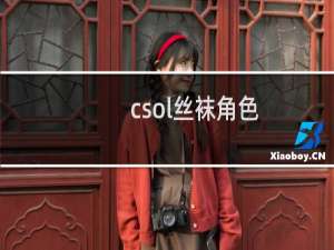 csol丝袜角色