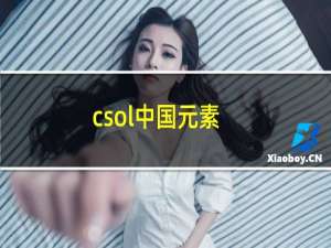 csol中国元素