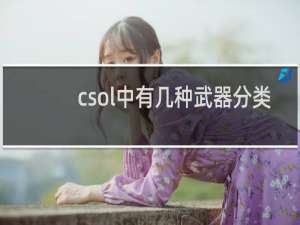 csol中有几种武器分类