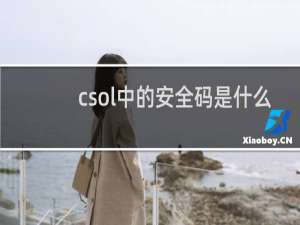 csol中的安全码是什么