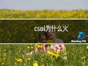 csol为什么火