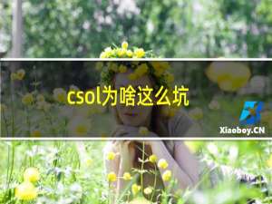 csol为啥这么坑