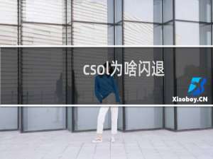 csol为啥闪退