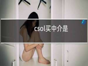 csol买中介是