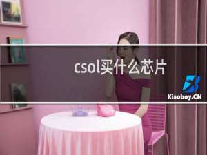 csol买什么芯片