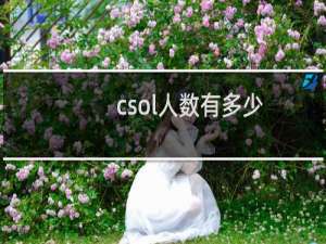 csol人数有多少