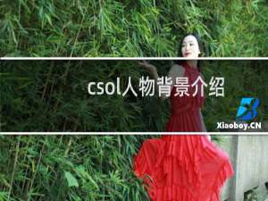 csol人物背景介绍