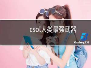 csol人类最强武器