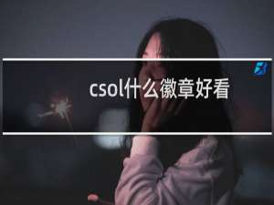 csol什么徽章好看