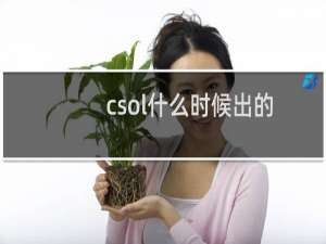 csol什么时候出的