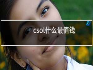 csol什么最值钱