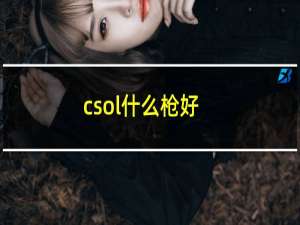 csol什么枪好