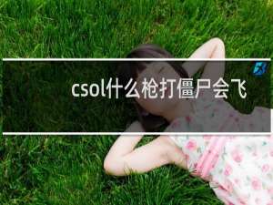 csol什么枪打僵尸会飞