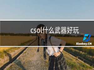 csol什么武器好玩