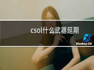 csol什么武器延期