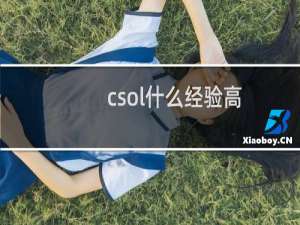 csol什么经验高