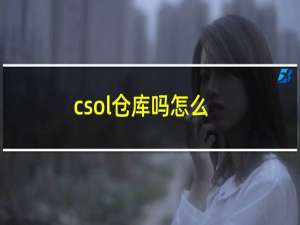 csol仓库吗怎么