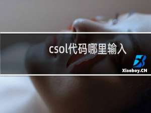 csol代码哪里输入