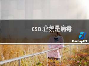 csol企鹅是病毒
